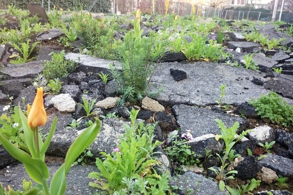 L’impermeabilizzazione del suolo aggrava il problema della canicola