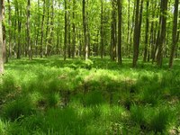 Nuovi equilibri tra la città e le aree montane e rurali