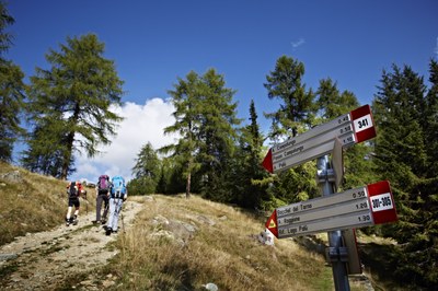 Un mare di dati nel turismo di montagna
