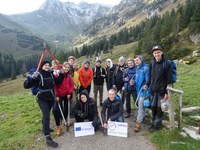 Grünerlen schwenden bei Schnee und Stimmung