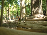 Gemeindebudget per Postkarte