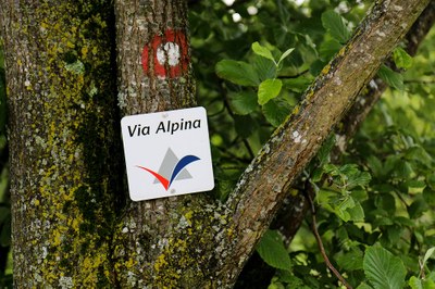 Entdeckungsreise entlang der Via Alpina
