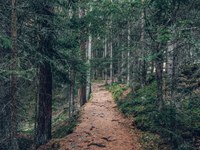 Gemeinsam für eine schonende Erholungsnutzung des Waldes