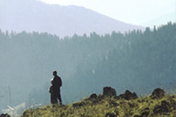 Bausteine für eine nachhaltige Berggebietspolitik