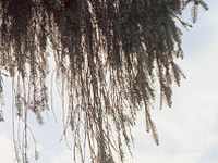 Projektstart: Untersuchung langlebiger Umweltgifte in den Alpen