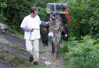 Erhaltung traditioneller Kulturpflanzen und Nutztierrassen