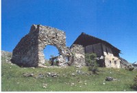 Lebensqualität und Wettbewerbsfähigkeit in ländlich-alpinen Gebieten