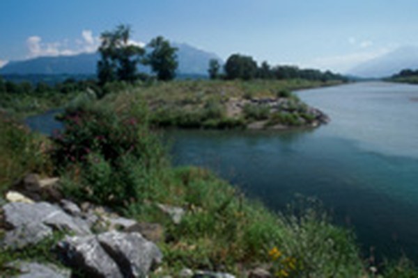 Appell zur Umsetzung des Entwicklungskonzeptes "Zukunft Alpenrhein"