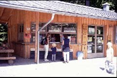 Tagungsband "Exploring the Nature of Management"