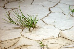 Wasserknappheit hat weit reichende Konsequenzen