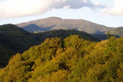 Olympische Winterspiele im Kaukasus