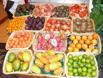 Tropenhaus dank Bergwasser