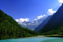 Monte Rosa-Walser Express: WWF und Mountain Wilderness fordern eine internationale Betrachtung