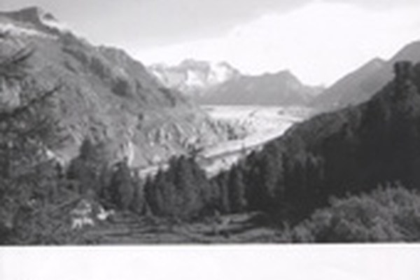 eco.mont - neue Zeitschrift zur Forschung in Schutzgebieten