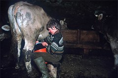 Resolution für eine aktive Berglandwirtschaft