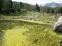 Verschmutzter Bergsee im Tal der Triglav-Seen