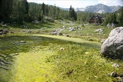 Verschmutzter Bergsee im Tal der Triglav-Seen