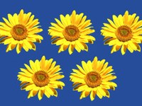 Vorarlberg und Liechtenstein - Bewerbung um die olympischen Jugendspiele 2015