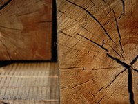 Wirtschaft nachhaltig gestalten