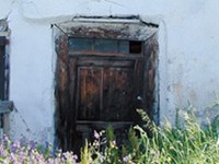 Neues Leben für die alpine Brache?