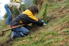 Anpacken für den Bergwald