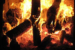 "Österreich soll Biomassenutzung überdenken"