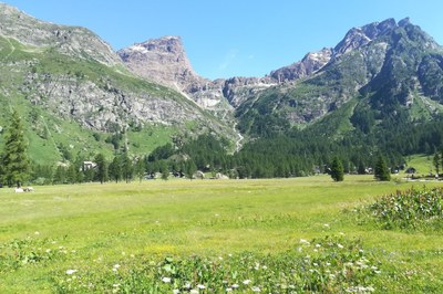Alpine Schutzgebiete und Klimawandel