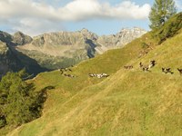 Alpsaison ist nun UNESCO-Kulturerbe