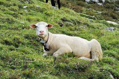 Drei Innovationen aus den Bergen