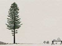 Ein Baum hat sieben Leben