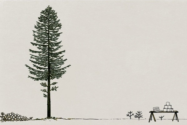 Ein Baum hat sieben Leben