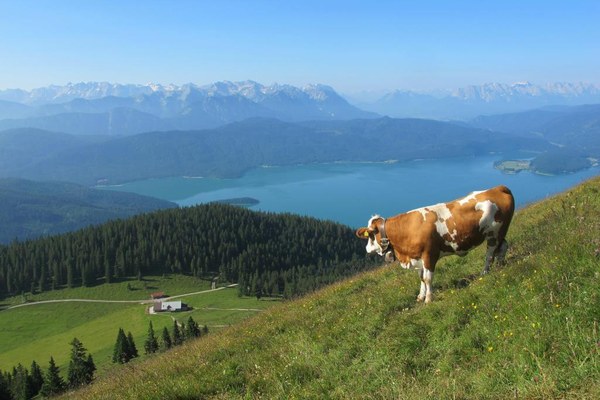 Fataler Paradigmenwechsel in der bayerischen Landesplanung