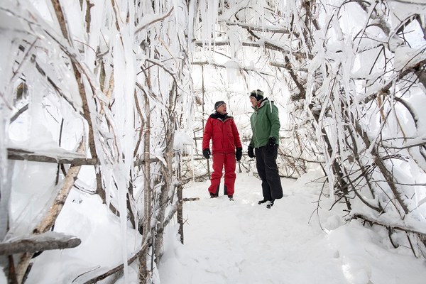 Gletschereis am Stiel