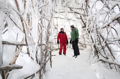 Gletschereis am Stiel