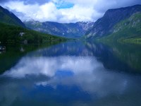 Grüne Korridore überwinden Grenzen