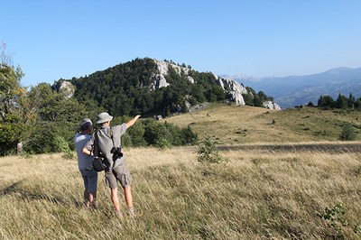 Handeln statt palavern