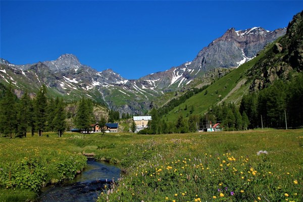 Kleine Initiativen, grosse Wirkung