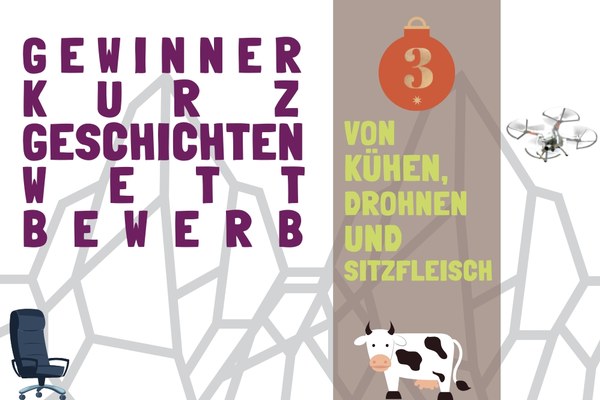 Kurzgeschichte: Von Kühen, Drohnen und Sitzfleisch