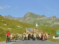 Mehr Sommerferien dank Klimawandel