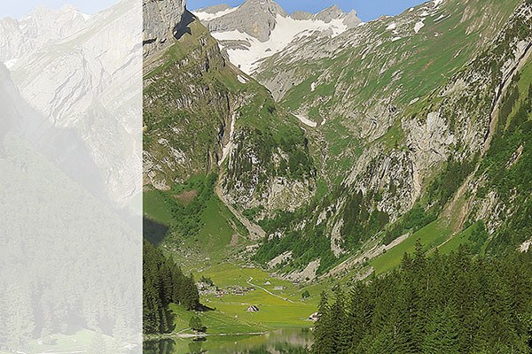 Naturschutz in den Alpen - quo vadis