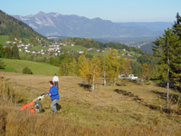 Naturvielfalt als Gemeingut