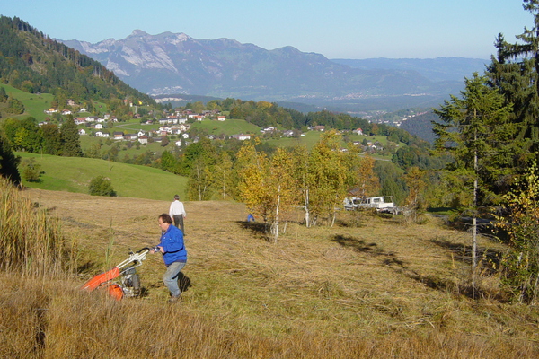 Naturvielfalt als Gemeingut
