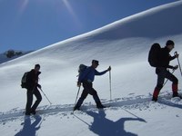 Saalforste erneut unter Erschließungsdruck
