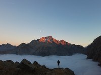 Schritt für Schritt