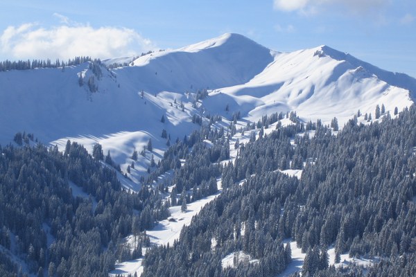 Unverantwortlich: Änderung des Alpenplans beschlossen !