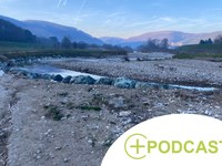 Zu viel Wasser, zu wenig Wasser: Exkursion in den Wienerwald