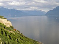 Resolution für die Einrichtung und Bewahrung einer "gentechnikfreien Zone Alpen"