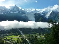 Appell: Klimaschutz jetzt!