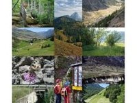 Plattform ökologischer Verbund