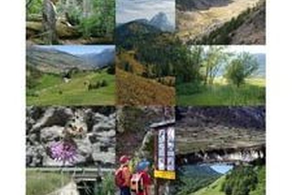 Plattform ökologischer Verbund